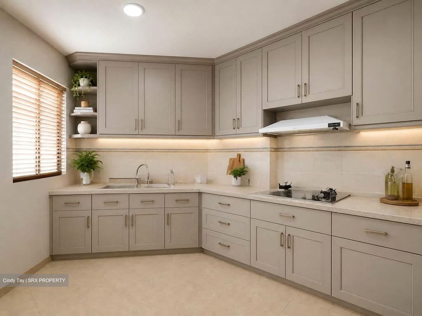 Dover Parkview (D5), Condominium #556982911